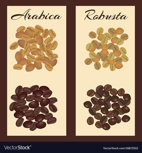 Types Of Coffee Beans: Types, Flavors, And Caffeine Content, 55% OFF