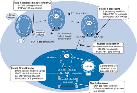 Integrase Inhibitors and Other New Drugs in Development | Oncohema Key