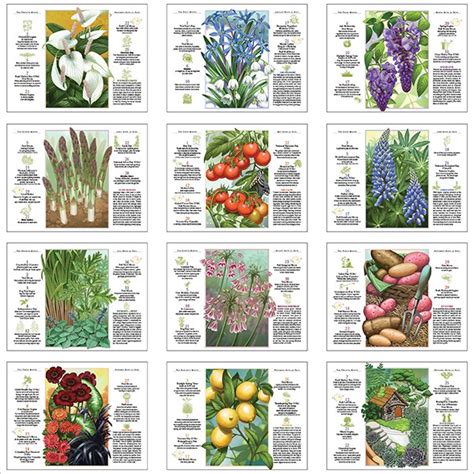 Old Farmer's Almanac Gardening Calendar - Logo | Custom Calendars