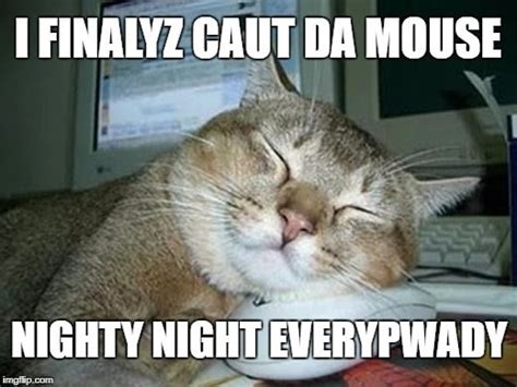 sleepy cat Meme Generator - Imgflip | Sleepy cat, Cat memes, Funny cats