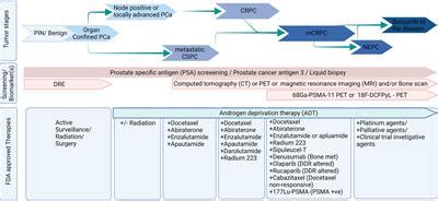 Frontiers | Editorial: Metastatic Castration Resistant Prostate Cancer ...