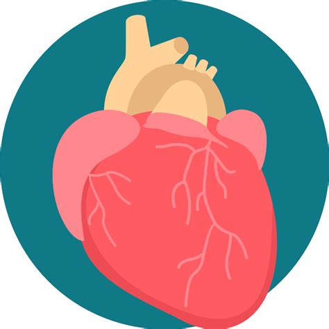 Heart Transplant Vector SVG Icon - SVG Repo