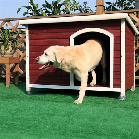 34 Doggone Good Backyard Dog House Ideas