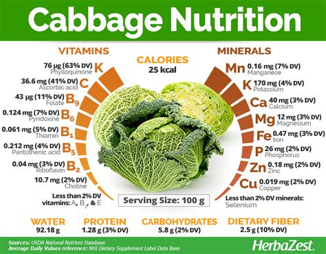 Cabbage | HerbaZest