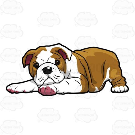 Cute Bulldog Drawing | Free download on ClipArtMag