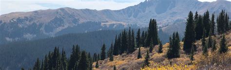 Taylor Pass Divide via Brush Creek Trail, Colorado - 8 Reviews, Map ...