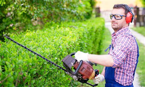 Top 5 Hedge Trimmer Safety Tips - Mylek