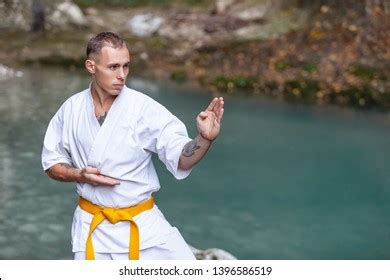 3,616 Yellow belt karate Images, Stock Photos & Vectors | Shutterstock