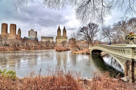 Winter reflections at Bow Bridge, Central Park by @gigi_nyc