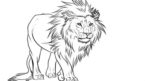 Coloring Pages | lion coloring pages coloring pages easy kids drawing lion