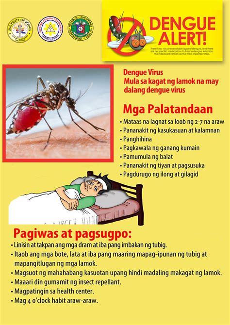 Dengue Alert!