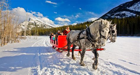 Sleigh Ride in Banff | Banff & Lake Louise Tourism