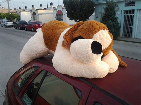 Perro San Bernardo De Peluche Gigante 1.55 Metros - $ 1,499.00 en Mercado Libre