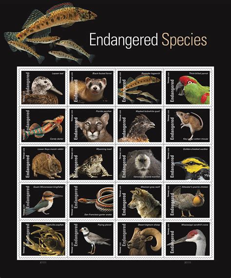 Postal Service Commemorates 50th Anniversary of Endangered Species Act with New Stamps - New ...