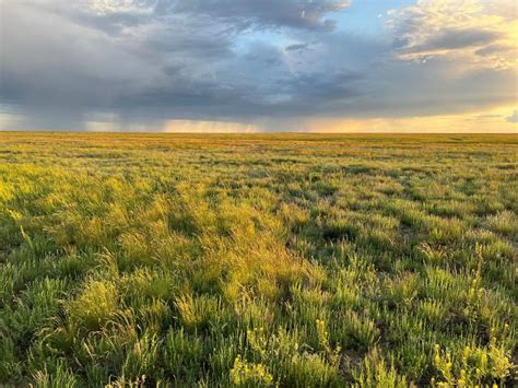 Protecting Kazakhstan’s grasslands steppes in face of future ...