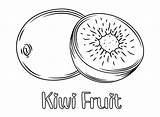 40  Kiwi Fruit Coloring Pages Free Printable PDF JPG PNG & Online sketch template