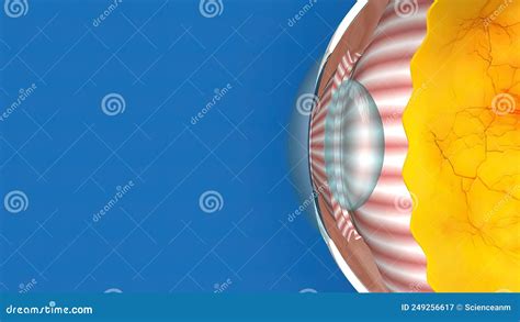 3D Medical Animated Normal Tension Glaucoma on Blue Background Stock ...