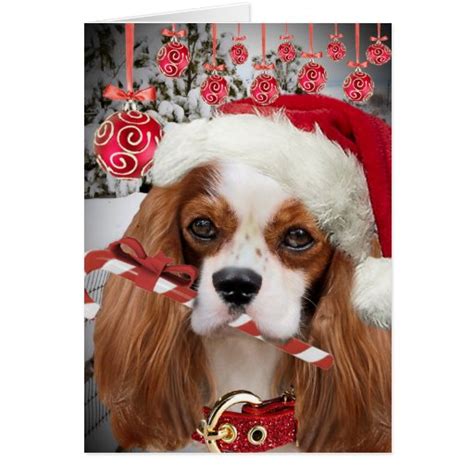 Cavalier King Charles Merry Christmas Cards | Zazzle