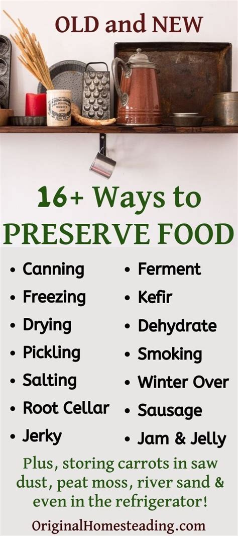 Ways to Preserve Food: 16+ Modern and Traditional Methods | Preserving food, Diy food storage ...