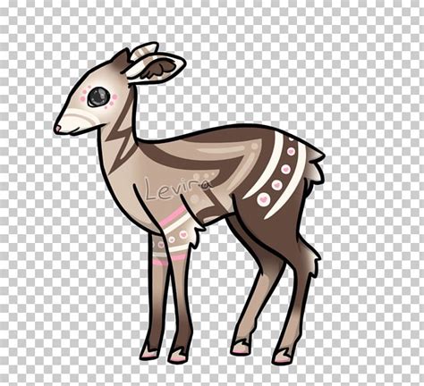 Musk Deer Reindeer Gazelle PNG, Clipart, Animal, Antelope, Antler, Cartoon, Cow Goat Family Free ...