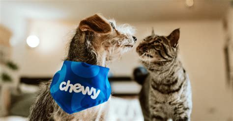 Pet Food, Products, Supplies at Low Prices - Free Shipping | Chewy.com