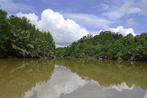 Sungai Brunei | The Capital Bandar Seri Begawan | Pictures | Brunei in ...