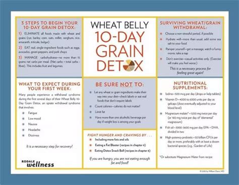 Undoctored | Wheat belly diet recipes, Wheat belly recipes, Wheat belly