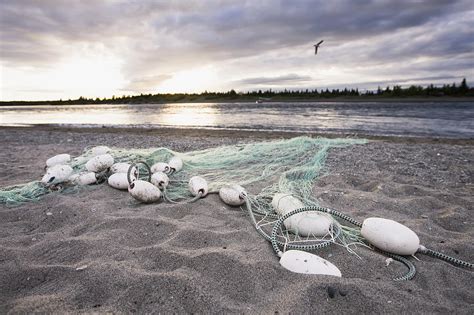 A Gill Net Used For Sockeye Salmon Photograph by Scott Dickerson | Fine Art America