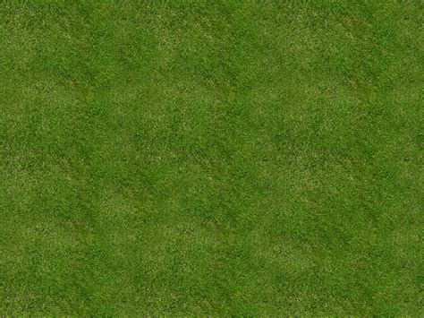 Free Transparent Grass Texture Seamless PNG (Nature-Grass-And-Foliage) | Textures for Photoshop