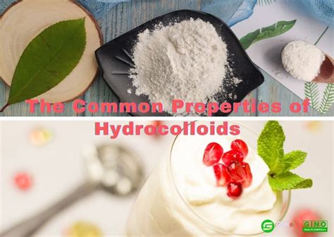 What are the Common Properties of Hydrocolloids?