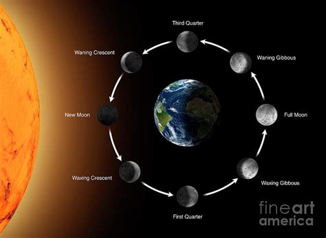 Phases Of The Moon As Seen From The Earth Photograph by Mikkel Juul Jensen/science Photo Library ...