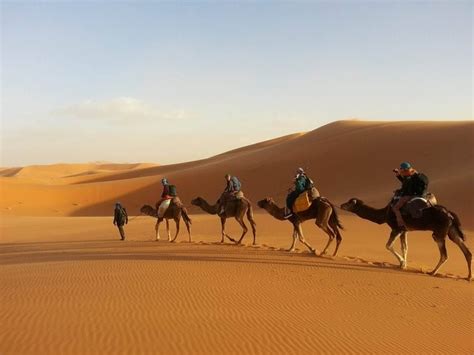 Desert tours from Marrakech | letva.net