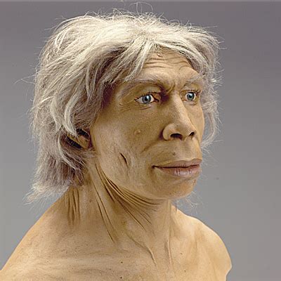 Homo neanderthalensis