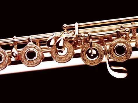 Haynes 19.5K Gold Flute - Flute Specialists