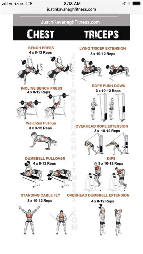 Chest trisap | Tricep workout gym, Chest and bicep workout, Chest workouts