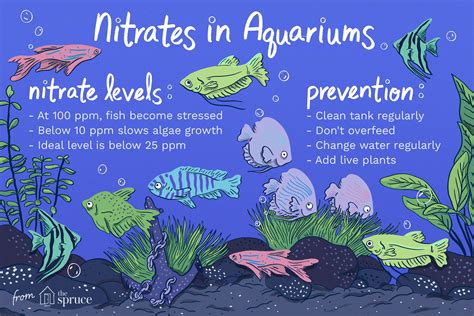 How to Manage Nitrate in Your Freshwater Aquarium