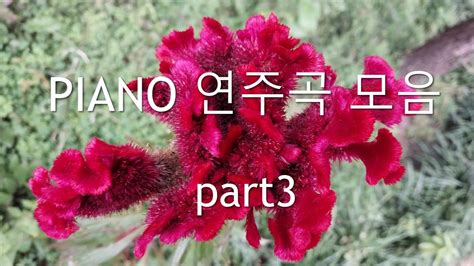 231018 piano 연주곡모음 part3 - YouTube