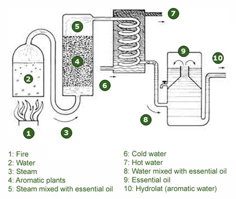 THE STEAM DISTILLATION PROCESS - Horsessentials