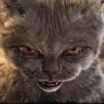 Evil-Cat Meme Generator - Imgflip