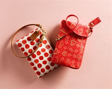 Coach Valentine Heart Pouches | Bragmybag