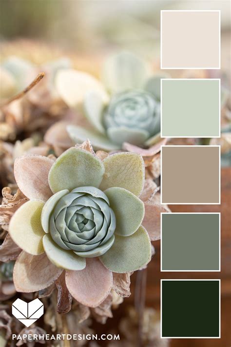 Color Palette: Sweet Succulents — Paper Heart Design in 2020 | Bedroom colour palette, Color ...