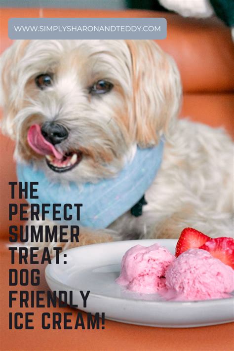 The Easiest Homemade Dog-Friendly Ice Cream Recipe - Simply Sharon and Teddy