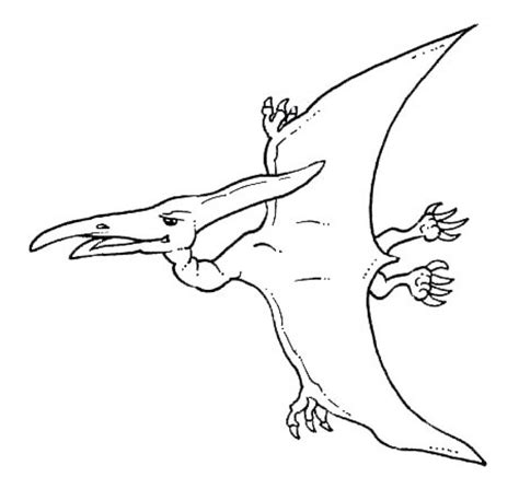 Flying Dinosaurs Drawing at GetDrawings | Free download