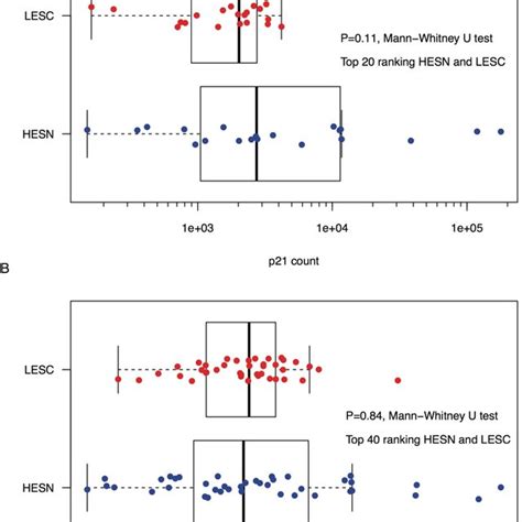 p21 expression in HESN and LESC. Shown are comparisons of p21... | Download Scientific Diagram