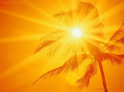 Sunshine HD Wallpapers - Top Free Sunshine HD Backgrounds - WallpaperAccess