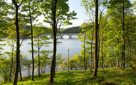 england, Rivers, Bridges, Summer, Trees, Ladybower, Reservoir, Derbyshire, Nature Wallpapers HD ...