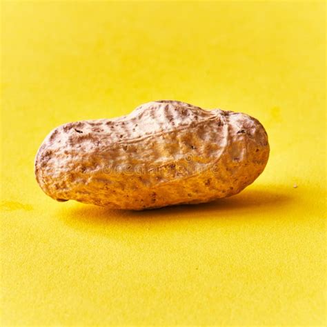 Single Peanut with Shell on a Yellow Background Stock Image - Image of ...