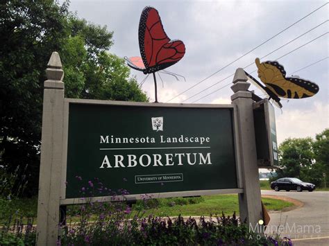 Minnesota Landscape Arboretum - For Kids