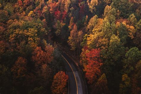 The Best Time (and Places) to See Fall Colours in Ottawa