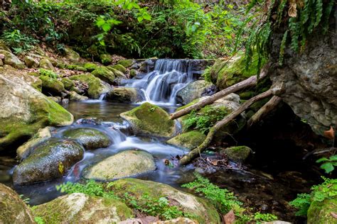 Sierra Gorda, fastuosa reserva natural de Querétaro - Rincones de México